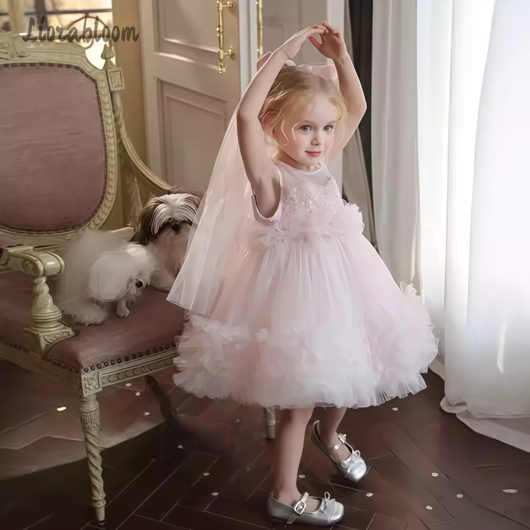 Girls' Tulle Gown Layered Skir - Women Formal Party Wear Dress reseña y precio